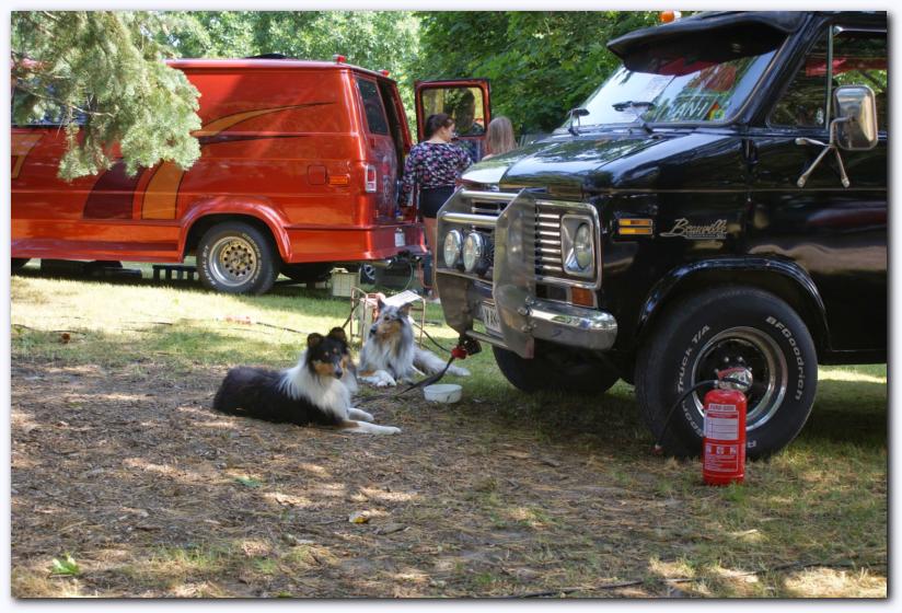 802x537 pixels (98K)